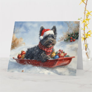 Bouviers Des Flandres Dog in Sledge Christmas Card