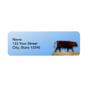 Bovine and Blue Sky: Cow on Blue Return Address