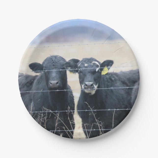 Bovine bystanders paper plate (Front)