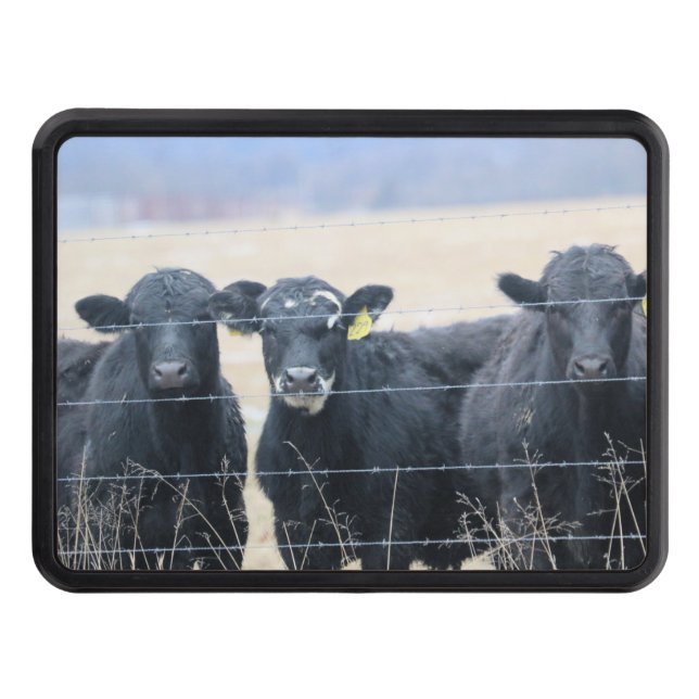 Bovine bystanders trailer hitch cover (Front)