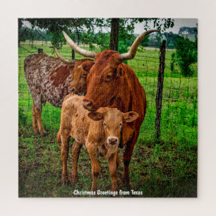 Bovins de la Corne Longue Texas. Jigsaw Puzzle