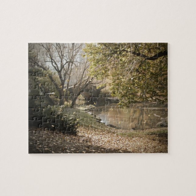 Bow Bridge, Central Park, in Autumn Jigsaw Puzzle (Horizontal)