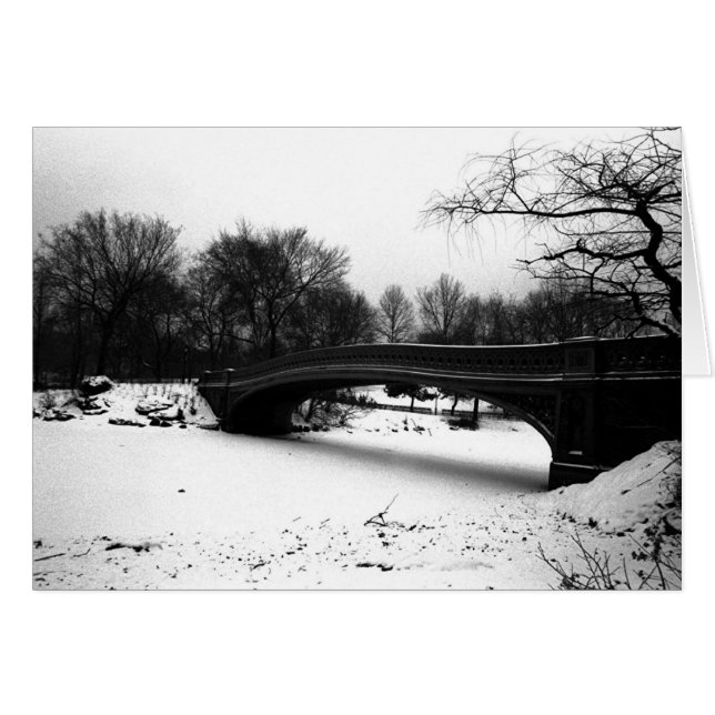 Bow Bridge Winter Central Park NYC (Devant horizontal)