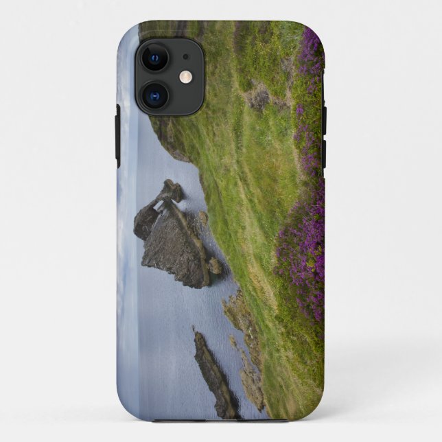Bow Fiddle Rock, Portknockie, Scotland Case-Mate iPhone Case (Back)