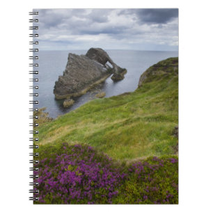 Bow Fiddle Rock, Portknockie, Scotland Notebook