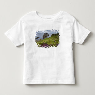 Bow Fiddle Rock, Portknockie, Scotland Toddler T-shirt