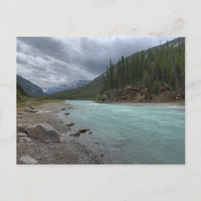 Bow River Postcard (Front)