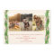 Bow rustic Christmas 4 Photos plaid ribbon