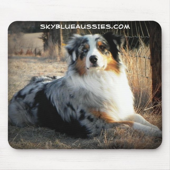 Bowdie - Sky Blue Aussie Mouse Pad (Front)