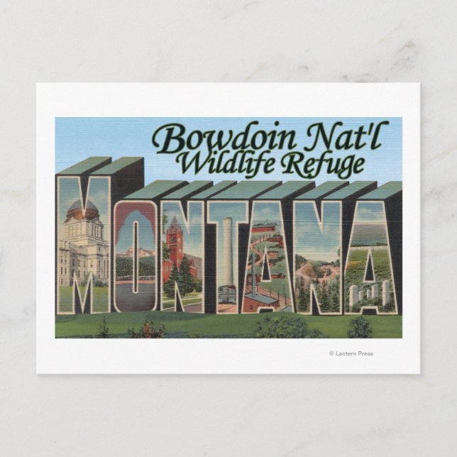 Bowdoin Nat'l Wildlife Refuge, Montana Postcard (Front)