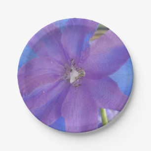 Bowen Paper Plate