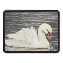 Bowering Park Swan