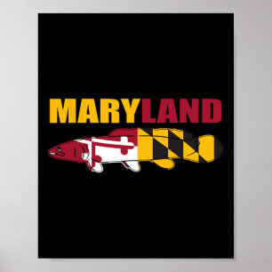 Bowfin Fish - Maryland State Flag Fishing Poster