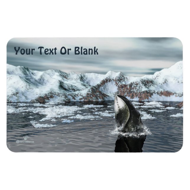 Bowhead Whale Magnet (Horizontal)