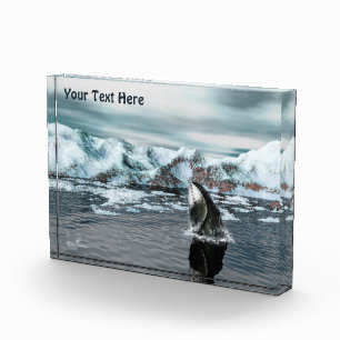 Bowhead Whale Photo Block