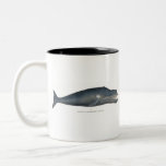 Bowhead Whale Two-Tone Coffee Mug<br><div class="desc">Beautiful Vintage Illustration of a Bowhead Whale</div>