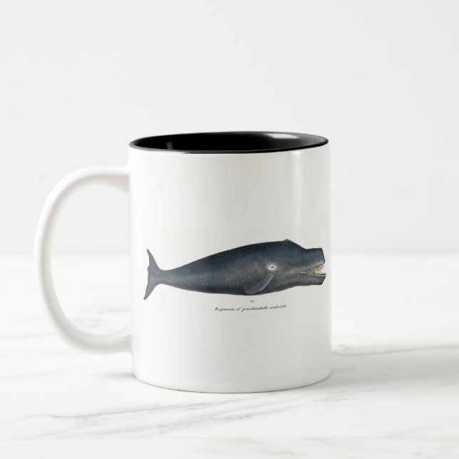 Bowhead Whale Two-Tone Coffee Mug (Left)
