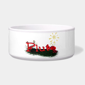 Bowl for pluto