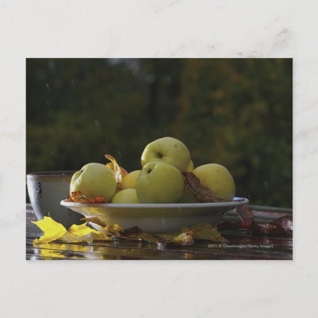 Bowl of apples and leaves postcard (Front)