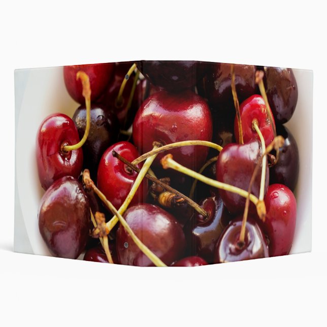 bowl of Cherries Binder (Background)
