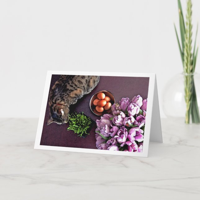 Bowl of eggs. Snapshot 5 Holiday Card (Front)