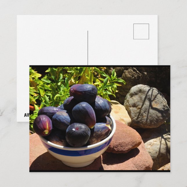 Bowl of Fig Fruit on Stone Postcard (Front/Back)