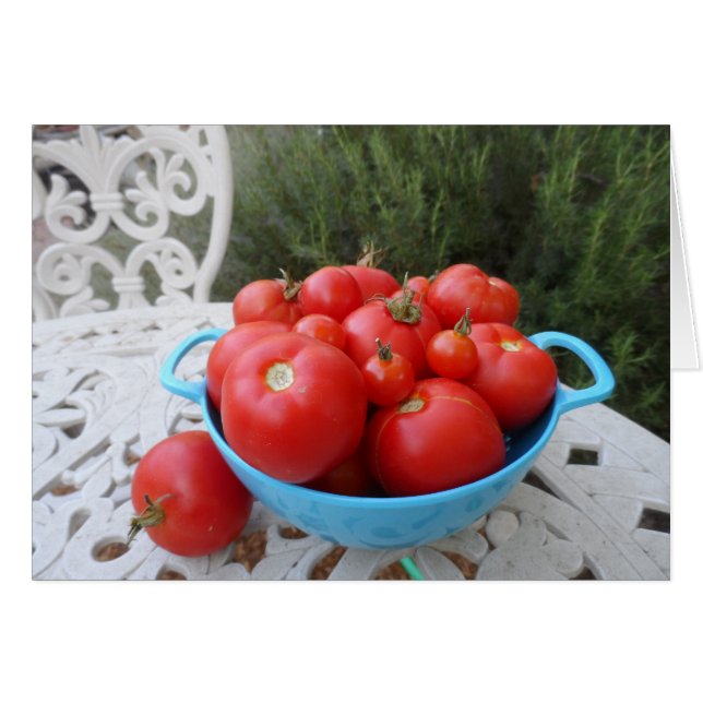Bowl of Tomatoes (Front Horizontal)