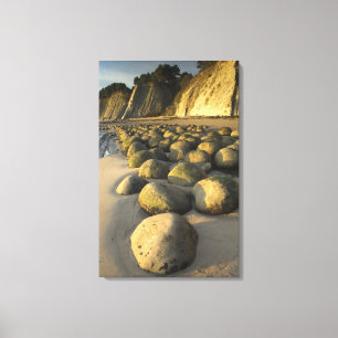 Bowling Ball Beach on California's Mendocino Coast Canvas Print