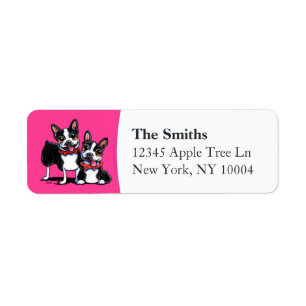 Bowt Boston Terriers Hot Pink