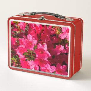 Box azalées roses fleurs florales photo boîte à lunch