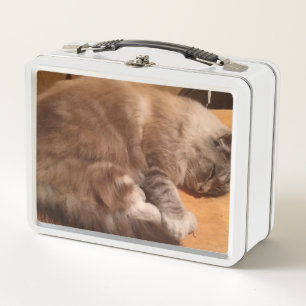 Box Boîte à lunch pour chat