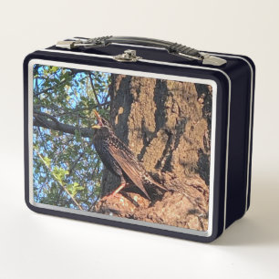 Box Boîte à lunch pour les oiseaux