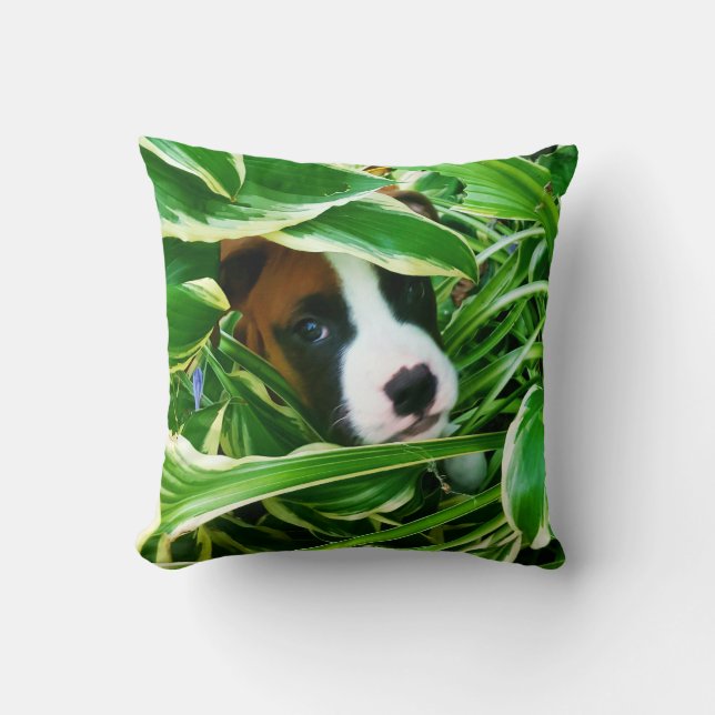box er pup - Brix  pillow (Front)