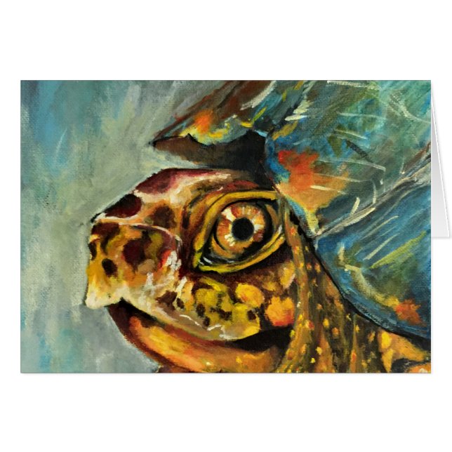 box turtle (Front Horizontal)