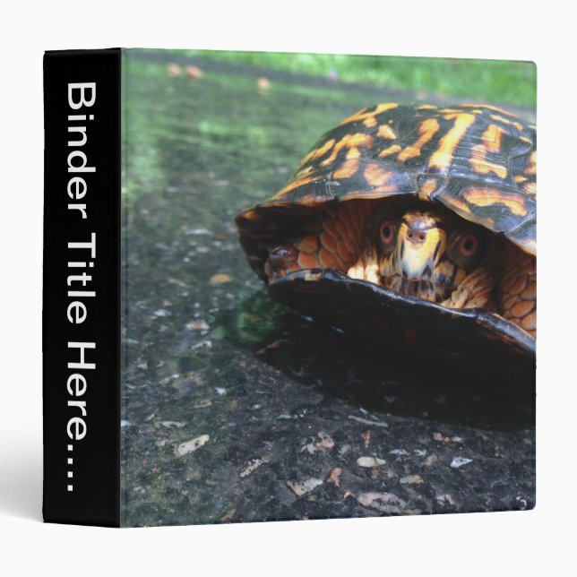 Box Turtle - 1.5" Binder (Front/Spine)