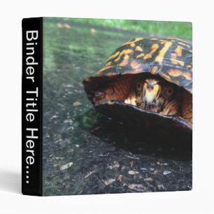 Box Turtle - 1" Binder