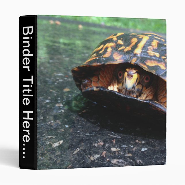 Box Turtle - 1" Binder (Front/Spine)