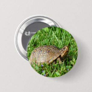 Box Turtle 2 Inch Round Button