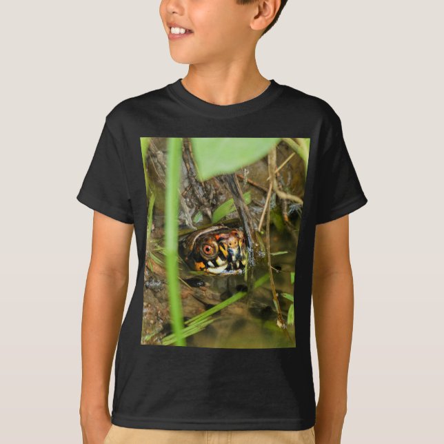 Box Turtle and Tadpoles T-Shirt (Front)