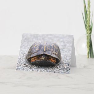 Box Turtle Card