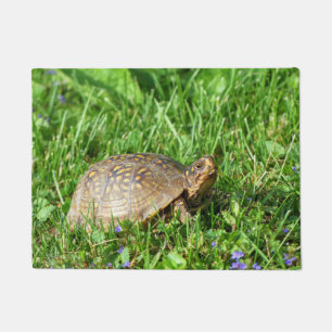 Box Turtle Doormat