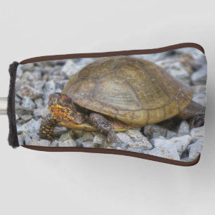 Box Turtle  Golf Head Cover