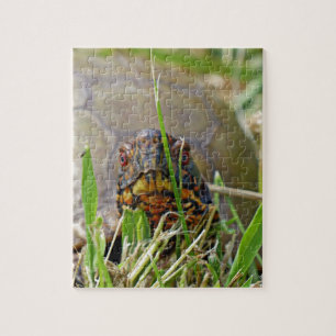Box Turtle Jigsaw Puzzle