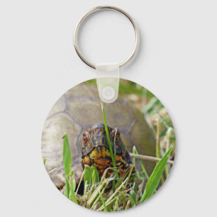 Box Turtle Keychain
