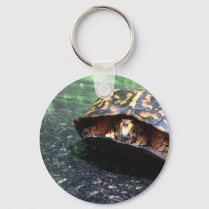 Box Turtle Keychain