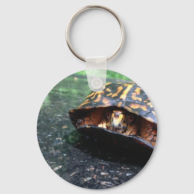 Box Turtle Keychain (Front)