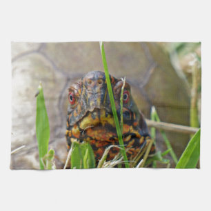 Box Turtle Kitchen Towel