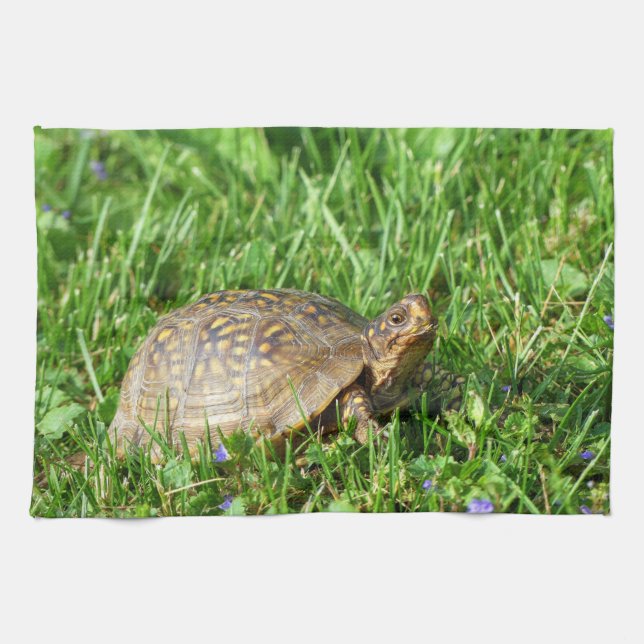 Box Turtle  Kitchen Towel (Horizontal)