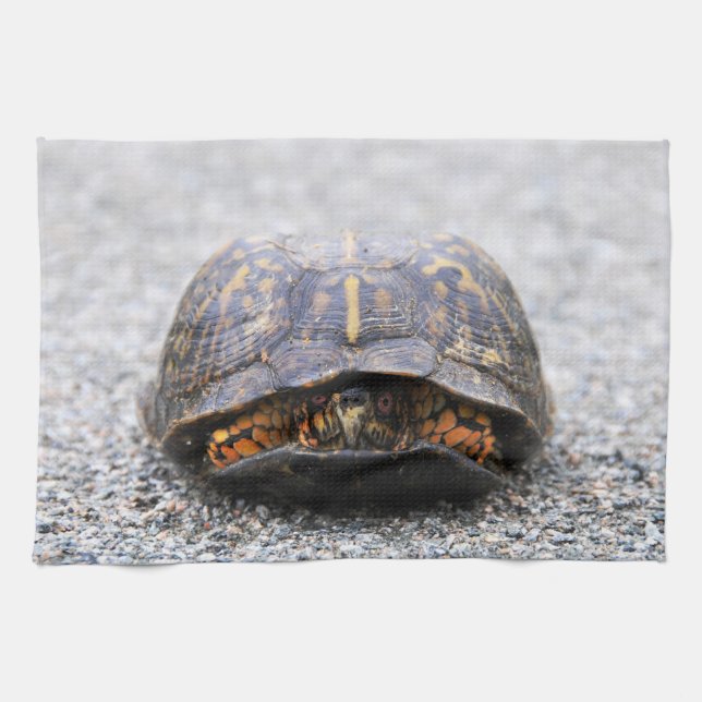 Box Turtle Kitchen Towel (Horizontal)