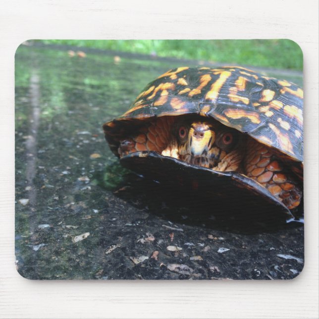 Box Turtle Mouse Pad (Front)